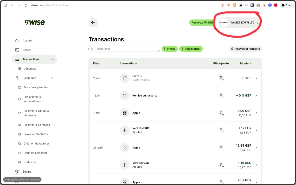 Capture d'écran du compte Stripe de Wanzt, actif, avec les paiements reçus